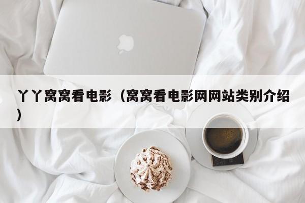 丫丫窝窝看电影（窝窝看电影网网站类别介绍）